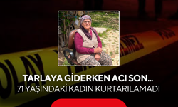 Tarlaya giderken acı son... 71 yaşındaki kadın kurtarılamadı