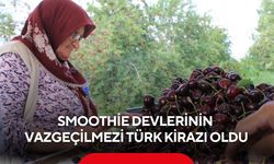 Türk kirazı dünyaya açılıyor... ABD ve Avrupa'nın smoothie tercihi Türkiye'den!