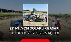 Manisa'dan 321 Milyon Dolarlık Başarı! Üzümde Yeni Sezon Açıldı