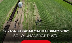 Üretici isyan etti! Tarlada satılmıyor, markette cep yakıyor