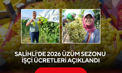 Salihli'de 2026 Üzüm Sezonu İşçi Ücretleri Açıklandı