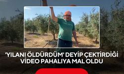 'Yılanı öldürdüm' deyip çektirdiği video pahalıya mal oldu: 22 bin TL ceza yedi