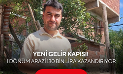 Yeni gelir kapısı! 1 dönüm araziden tam 130 bin lira kazandırıyor