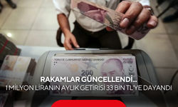 1 milyon TL’yi bankaya koyan kazanıyor! 32 günlük getiri dikkat çekici