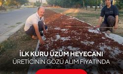 2026 sezonunun ilk kuru üzümü çuvala girdi! Gözler fiyata çevrildi...