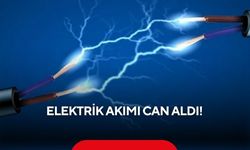 Elektrik akımı can aldı! 1 kişi hayatını kaybetti