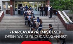 7 parçaya ayrılmış cesedi derin dondurucuda saklanmıştı... 12 yıl sonra yakalandılar...