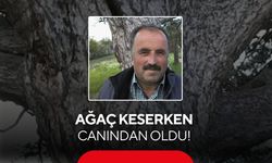 Ağaç keserken canından oldu! Üzerine devrilen ağaç hayatını aldı