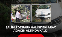 Salihli’de Park Halindeki Araç Ağacın Altında Kaldı