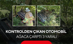 Kontrolden çıkan otomobil ağaca çarptı: 3 yaralı