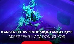 Akrebin zehri kansere umut oluyor! 5 bin akreple dev biyoteknoloji hamlesi...