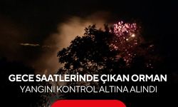 Alanya’da gece yarısı orman yangını! Sabah kontrol altına alındı