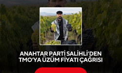 Anahtar Parti Salihli’den TMO’ya üzüm fiyatı çağrısı