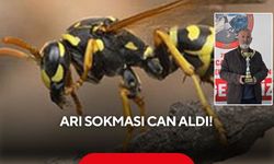 Arı sokması ölümle sonuçlandı: 10 gün sonra acı haber