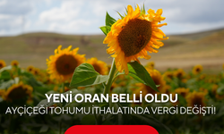 Ayçiçeği tohumu ithalatında vergi değişti! Yeni oran belli oldu
