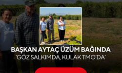 Başkan Aytaç üzüm bağında... 'Göz salkımda, kulak TMO’da'