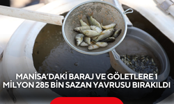Manisa’daki baraj ve göletlere 1 milyon 285 bin sazan yavrusu bırakıldı