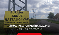 Bir mahalle karantinaya alındı, hayvan giriş-çıkışı yasaklandı!