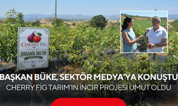 Başkan Büke, Sektör Medya’ya Konuştu… Cherry Fig Tarım’ın İncir Projesi Umut Oldu