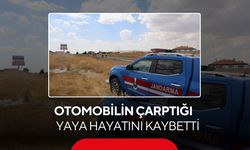 Otomobilin çarptığı yaya hayatını kaybetti