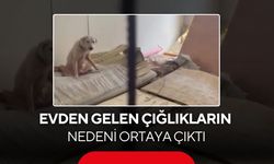 Çığlıkları mahalleyi ayağa kaldırdı! İçeri girenler dehşete düştü