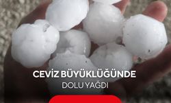 Ceviz büyüklüğünde dolu yağdı