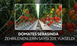Domates serasında zehirlenenlerin sayısı 33'e yükseldi