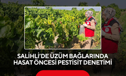Salihli’de üzüm bağlarında hasat öncesi pestisit denetimi