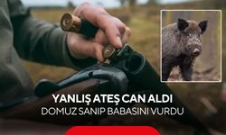 Domuz sandığı kişi babası çıktı: İncir bahçesinde kahreden facia
