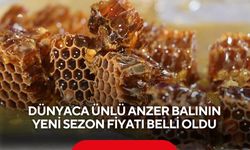Dünyaca ünlü anzer balının yeni sezon fiyatı belli oldu