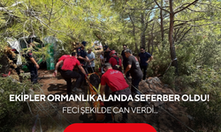 Ekipler ormanlık alanda seferber oldu! Feci şekilde can verdi...