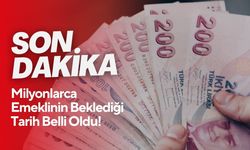 En düşük emekli maaşı artmıştı! Fark ödemeleri için tarih netleşti