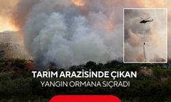 Manisa'da alevler bir anda ormana sıçradı! Havadan müdahale başladı