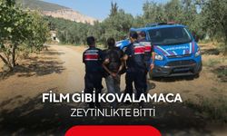 Film gibi kovalamaca zeytinlikte bitti