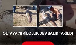 Balığın yanına yatınca herkes şaşırdı! Oltaya takılan 190 santimlik dev yayın balığı