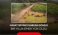 Bir yıllık emek dakikalar içinde yok oldu