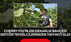 Cherry Fig’in 235 dekarlık bahçesi sektör temsilcilerinden tam not aldı