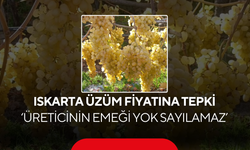 İYİ Parti’den ıskarta üzüm fiyatına tepki 'Üreticinin emeği yok sayılamaz'