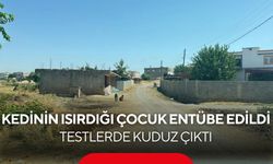 Kedi ısırığı kabusa döndü! Çocuk entübe edildi, test sonucu kuduz çıktı
