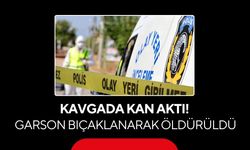 Kavgayı ayırmak istedi, canından oldu!