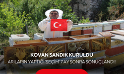 Kovan sandık kuruldu: Arıların yaptığı 'seçim' 7 ay sonra sonuçlandı!