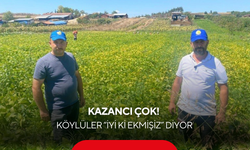 Köylülerin deneme amaçlı ektiği ürün kapış kapış satılıyor