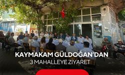 Salihli Kaymakamı Güldoğan, Kemer Kurttutan ve Kale’de talepleri dinledi