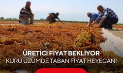 Manisa’da binlerce üreticinin gözü bu rakamda! Kuru üzümde 150 TL beklentisi...