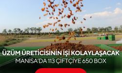 Manisa’da organik üzüm için dikkat çeken proje! 650 box üreticilere dağıtıldı