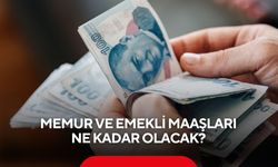 Milyonların beklediği rakamlar belli oluyor: Emekli ve memur maaşında yeni senaryo