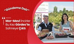 Mor-Mavi İncirler Dalından İndi! Gördes’te Renkli Hasat