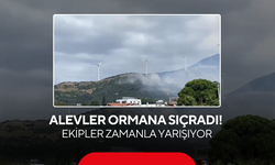 Alevler ormana sıçradı!  Ekipler zamanla yarışıyor