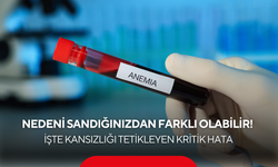 Nedeni sandığınızdan farklı olabilir! İşte kansızlığı tetikleyen kritik hata