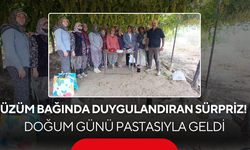 Bağda Sadece Üzüm Değil, Mutluluk da Hasat Edildi